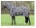 Euroriding Fliegendecke mit Halsteil abnehmbar zebra schwarz weiß 155 cm