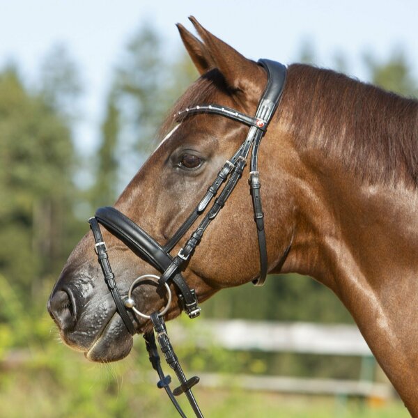 Kieffer Trense Ultrasoft© Economy II mit Silberkette...