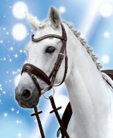 Passier Trense Spirit PASSIERBLU engl. RH havanna Messing...