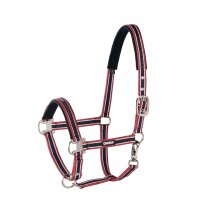 Eskadron Halfter Dornschnalle Warmblut Basic Performance