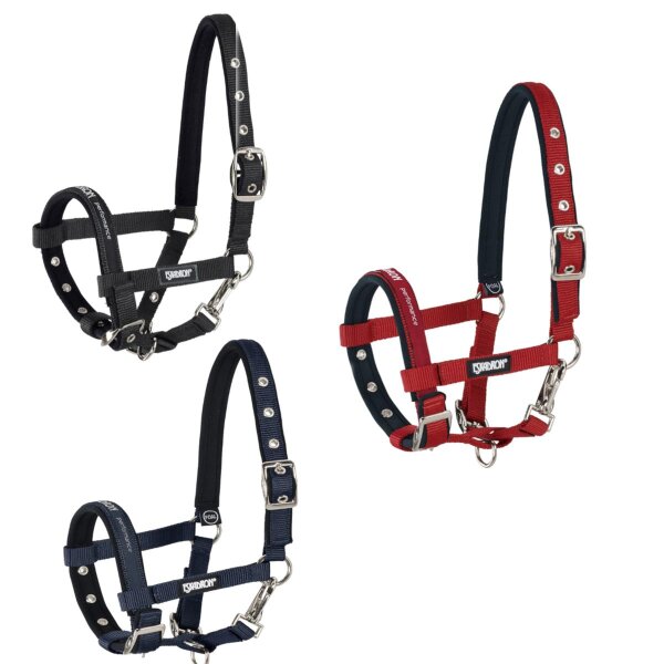 Eskadron Fohlen Halfter versch. Farben Dornschnalle