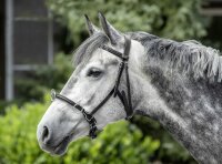 USG Kappzaum aus Leder  schwarz Vollblut/ Warmblut...