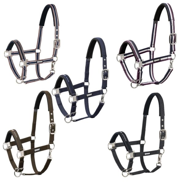 Eskadron Halfter Dornschnalle Basic Performance Warmblut Extra