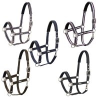 Eskadron Halfter Dornschnalle Basic Performance Warmblut...