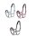 Eskadron Halfter Dornschnalle Warmblut Basic Selection