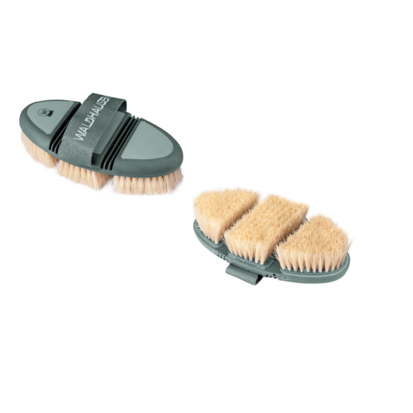 Waldhausen Flex Wurzelbürste mistel Naturborsten