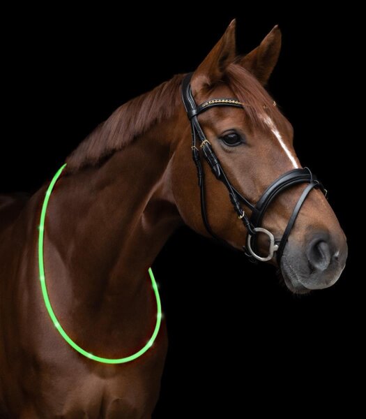 Waldhausen LED Leuchthalsring Halsring Halsriemen