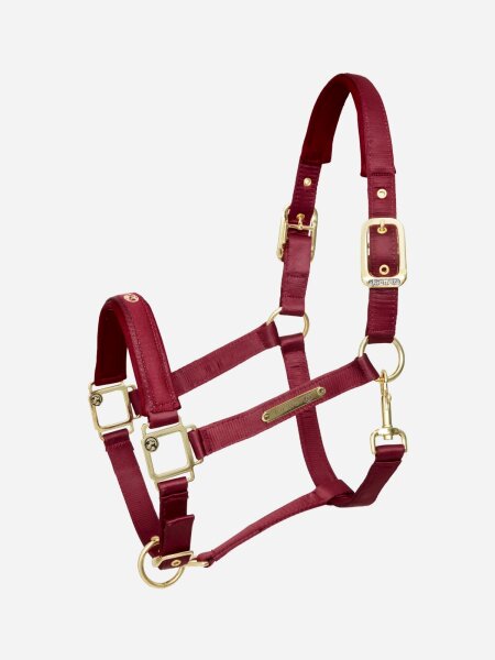 Kieffer Stallhalfter Satin Shine double Pin burgund Halfter
