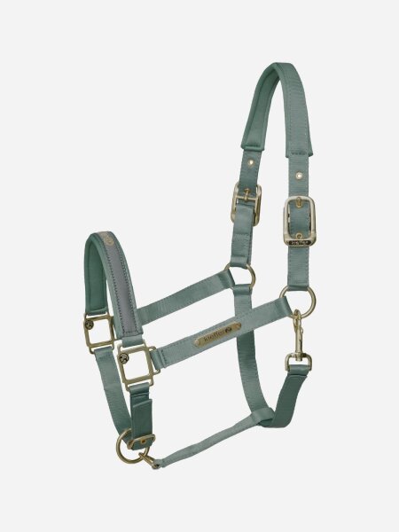 Kieffer Stallhalfter Satin Shine double Pin Mintgrün Halfter