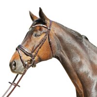 Euroriding Trense Versailles Glitzer Stirnband schwed....