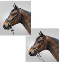 Waldhausen Star Tresnsenzaum Diamond Trense engl. komb....