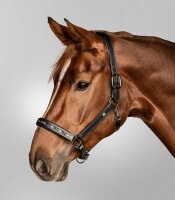 Waldhausen X-Line Lederhalfter Crystal Halfter schwarz/grau