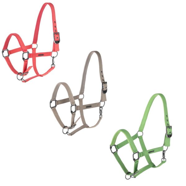 Covalliero Halfter Dornschnalle Warmblut FS 2025