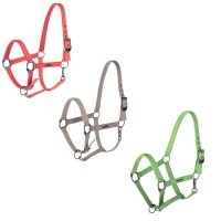 Covalliero Halfter Dornschnalle Warmblut FS 2025