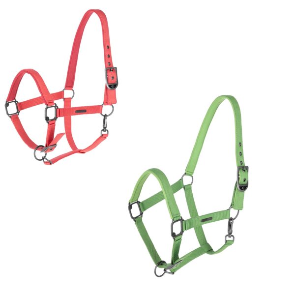 Covalliero Halfter Dornschnalle Pony FS 2025
