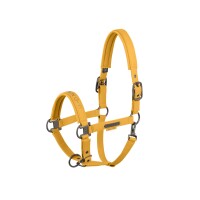 Eskadron Halfter Faux Leather double Pin golden yellow...