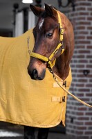 Eskadron Faux Leather Gamaschen golden yellow Platinum 2025