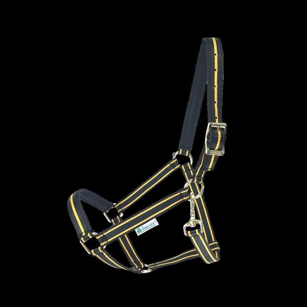 Bucas Halfter Dublin Dornschnalle black / Gold