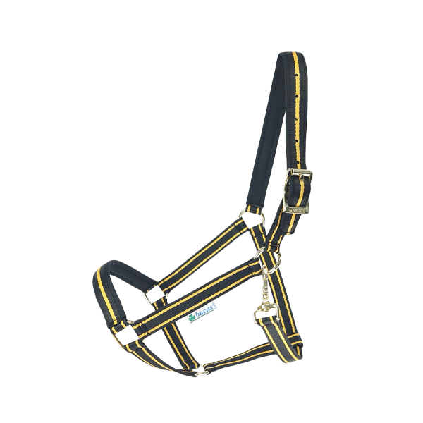 Bucas Halfter Dublin Dornschnalle black / Gold