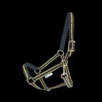 Bucas Halfter Dublin Dornschnalle black / Gold