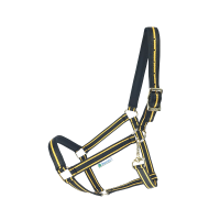 Bucas Halfter Dublin Dornschnalle black / Gold
