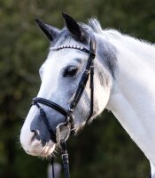 Waldhausen Trense Happy Hearts Trensenzaum Shetty oder Mini Shetty engl. RH
