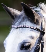 Waldhausen Trense Happy Hearts Trensenzaum Shetty oder Mini Shetty engl. RH