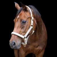 USG Halfter Dornschnalle ONYX Glitzer Creme