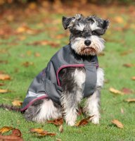 Bucas Hundemantel Freedom DOG RUG smoke grey Hundedecke...