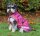 Bucas Hundemantel Freedom DOG RUG raspberry Hundedecke 300 g Füllung HW 2025