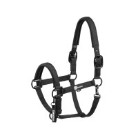 Eskadron Halfter Sparkle double Pin black Dynamic H/W 2025