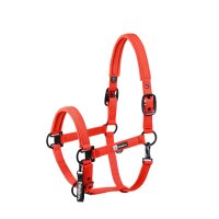 Eskadron Halfter Sparkle double Pin poppy red Dynamic H/W...