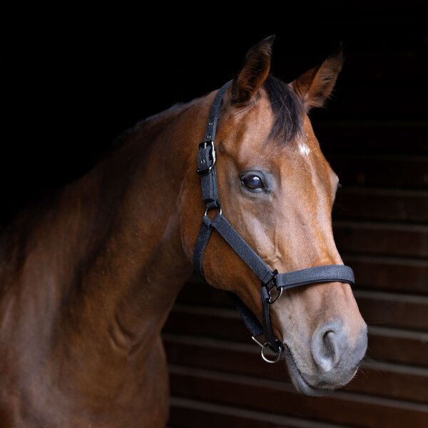 USG Halfter Dornschnalle ONYX Glitzer schwarz