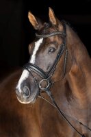 Covalliero Trensenzaum schwedisches RH schwarz Trense mit...