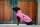 Bucas Freedom DOG RUG Aurora Pink Hundedecke Hundemantel Regenmantel FS 2026