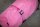 Bucas Freedom DOG RUG Aurora Pink Hundedecke Hundemantel Regenmantel FS 2026