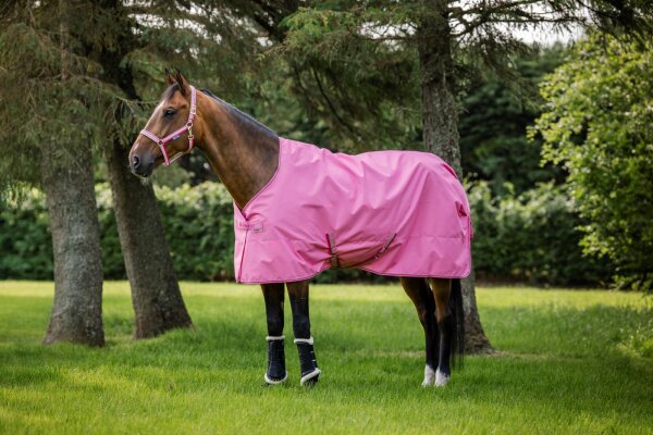 Bucas Freedom Turnout light Aurora Pink Outdoordecke 600 D Regendecke FS 2026