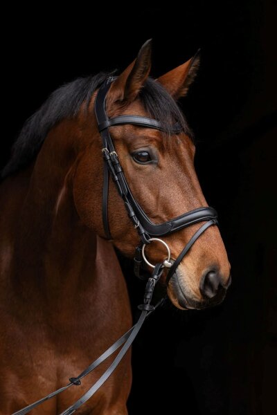 Covalliero Trensenzaum Anatomic schwarz Gr. Warmblut Trense