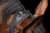 Covalliero Trensenzaum Anatomic schwarz Gr. Warmblut Trense