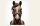 ThinLine Flexible Fressbremse Maulkorb Grasmaske Loch 2,5cm