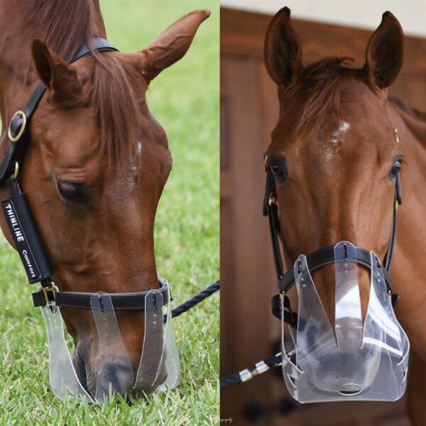ThinLine Flexible Fressbremse Maulkorb Grasmaske Loch Durchmesser 2,5 cm Cob ( Vollblut ) - Warmblut