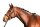 Euroriding Trense Lyon Euro-Club engl. Reithalfter dunkelbraun Warmblut Extra