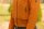 Covalliero Damen Winterblouson wasserdicht und atmungsaktiv Blouson HW 2026