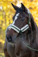 Covalliero Halfter Soft mit Kunstfell forest green HW 2026