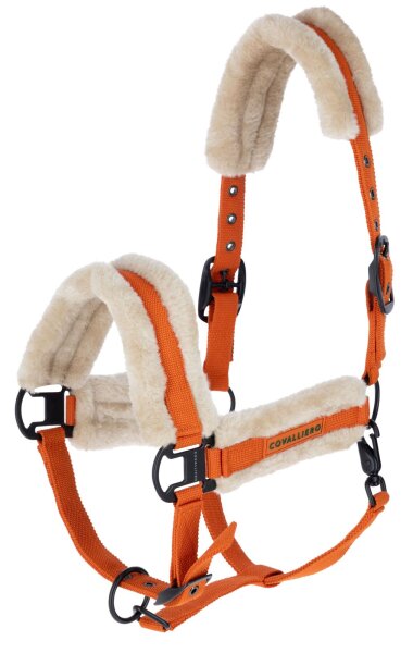 Covalliero Halfter Soft mit Kunstfell orange HW 2026