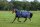 Bucas Freedom Turnout light Full Neck Outdoordecke navy 600 D wasserdicht