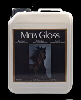 Meta Gloss Anti Filz, Volumen-und Glanzspray...