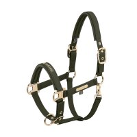 Eskadron Halfter Faux Leather Double Pin deep moss...