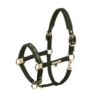 Eskadron Halfter Sparkle Double Pin deep moss Heritage HW...
