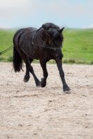 Imperial Doppellonge IRHFree Ride schwarz 20 Meter